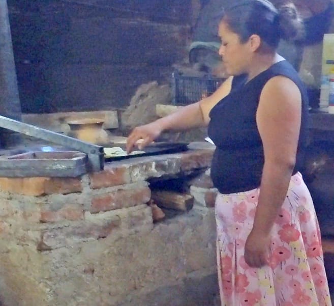 Dia mundial del medio ambiente
