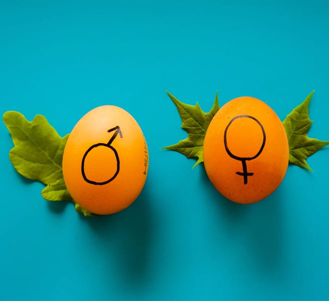 Equidad de Género