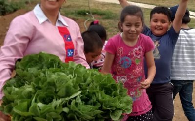 Metodologías de Educación Activa