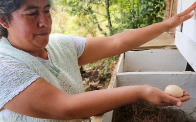 Estrategias familiares para fortalecer la economía