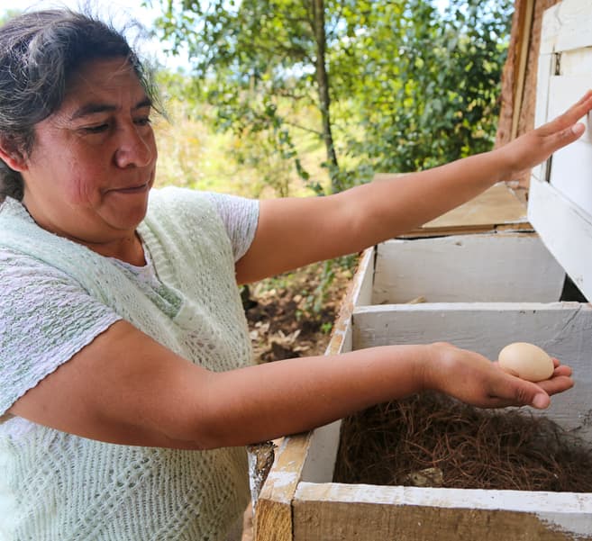 Estrategias familiares para fortalecer la economía