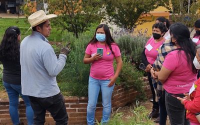 Mujeres, semilla de la transformación comunitaria