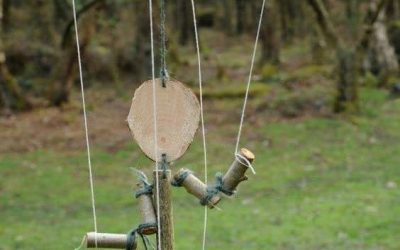 Buenas ideas para compartir